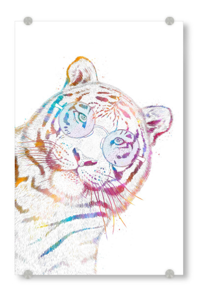 Acrylglasbild "Summer tiger" artboxONE - Natur,Tiere,Fashion,Lustig - Tiger,Cat,Cats,Summer,Sunglasses,Colorful,Katze,Animal,Wild,Tier,Bunt,Portrait