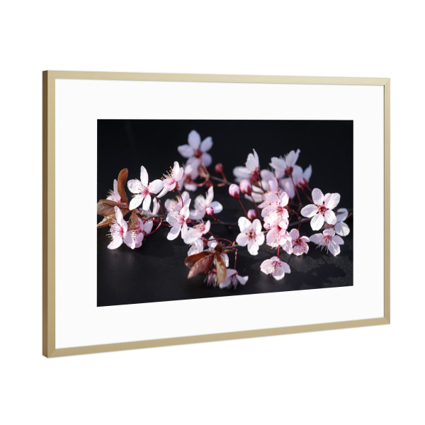 Poster mit Rahmen Gold "Abstrakte Blutpflaumen Blüte" artboxONE - Natur,Floral,Liebe,Für Mama