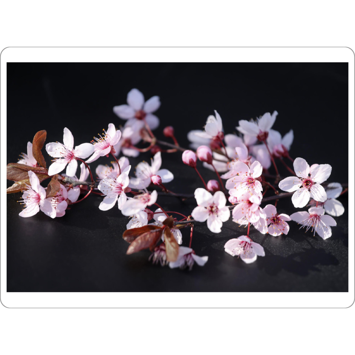 Tischset "Abstrakte Blutpflaumen Blüte" artboxONE - Natur,Floral,Liebe,Für Mama