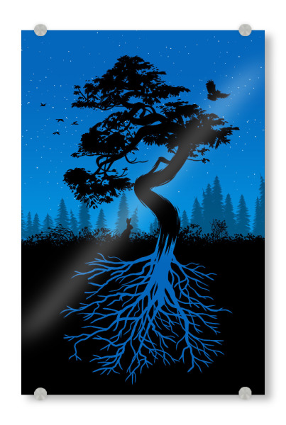 Acrylglasbild "Nature tree with roots night" artboxONE - Natur,Tiere