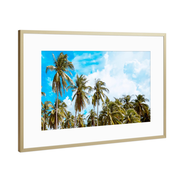 Poster mit Rahmen Gold "Bali Coconut Trees" artboxONE - Natur,Reise,Reise / Strand und Meer