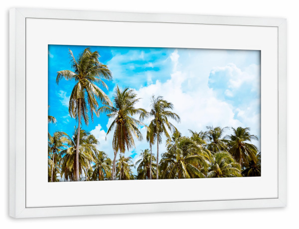 Poster mit Rahmen weiß "Bali Coconut Trees" artboxONE - Natur,Reise,Reise / Strand und Meer
