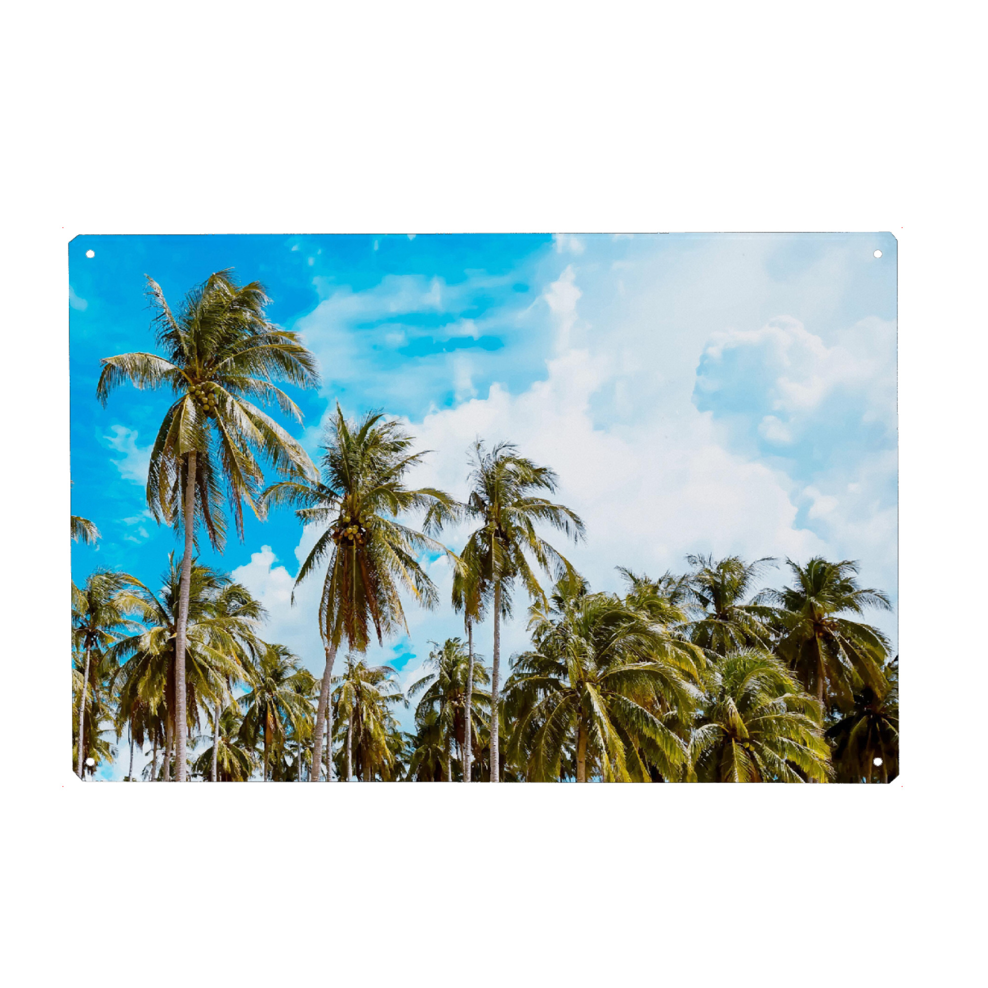 Holzbild "Bali Coconut Trees" artboxONE - Natur,Reise,Reise / Strand und Meer