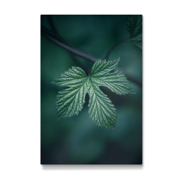 Galerie-Print "Hopfen" 30x20 cm artboxONE