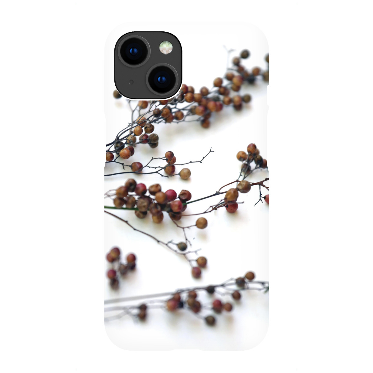 iPhone "Zweige mit Samenkapsel" Premium-Case Handyhülle artboxONE