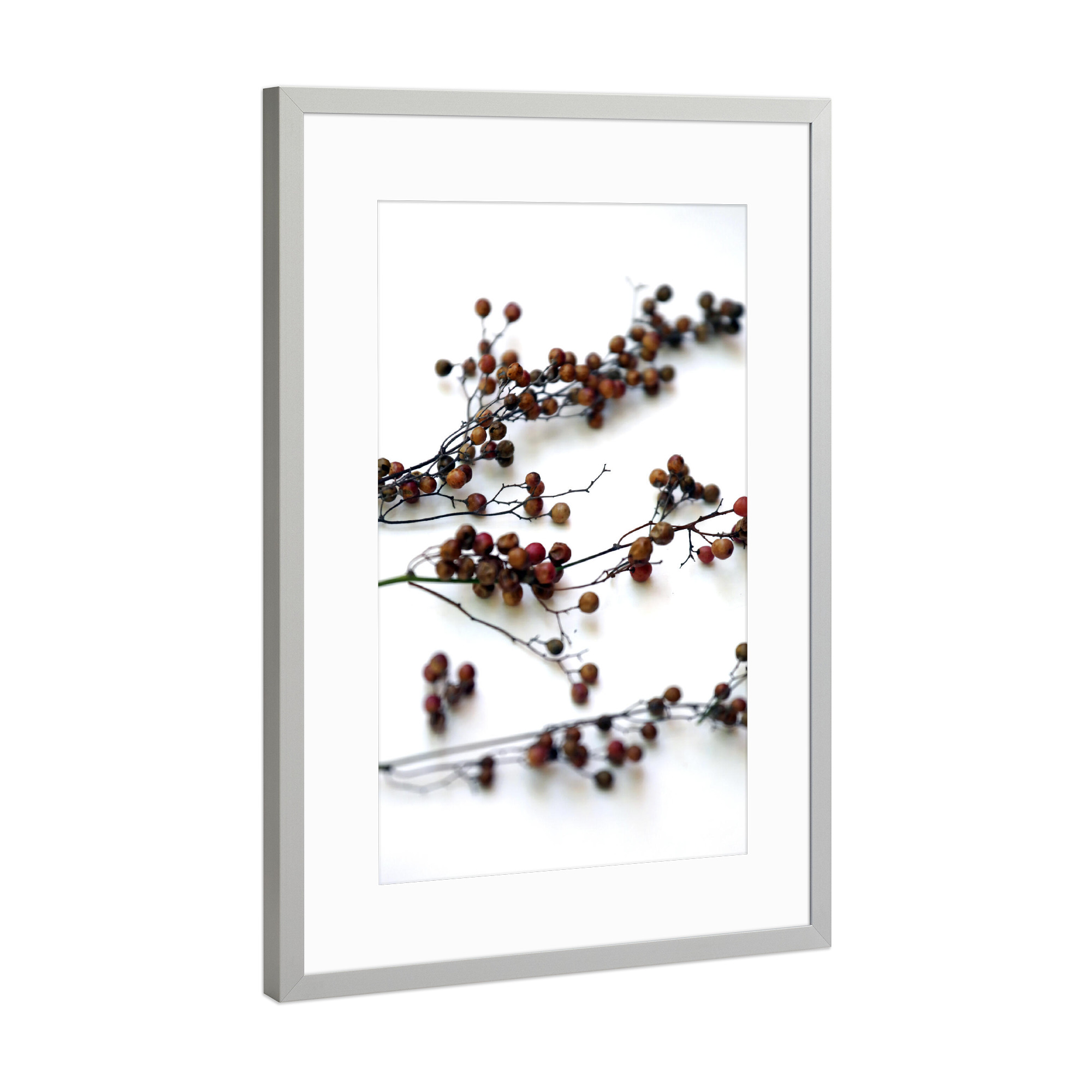Poster mit Rahmen Silber "Zweige mit Samenkapsel" artboxONE - Natur,Floral,Abstrakt