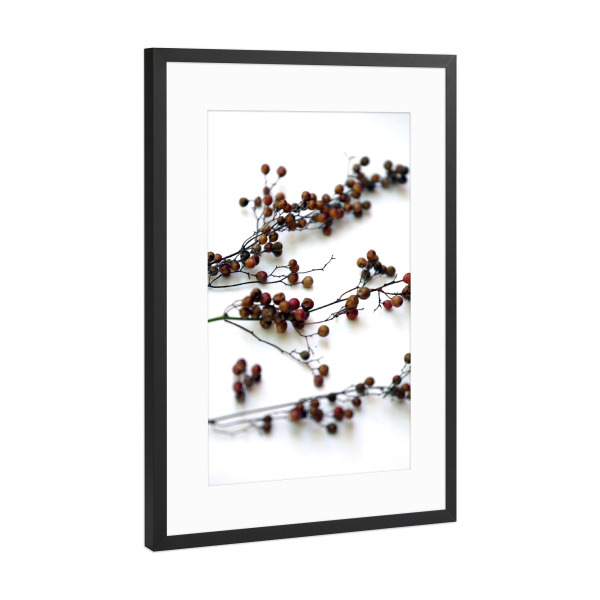 Poster mit Rahmen Schwarz (Metallic) "Zweige mit Samenkapsel" artboxONE - Natur,Floral,Abstrakt