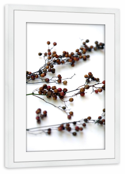 Poster mit Rahmen weiß "Zweige mit Samenkapsel" artboxONE - Natur,Floral,Abstrakt