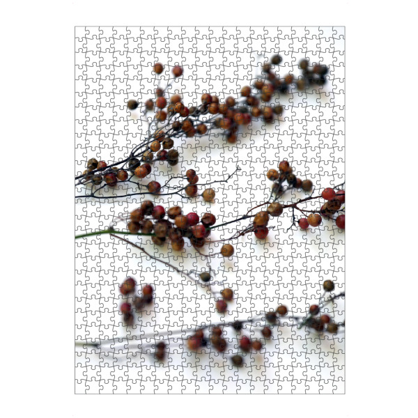 Puzzle Ravensburger "Zweige mit Samenkapsel" artboxONE - Natur,Floral,Abstrakt