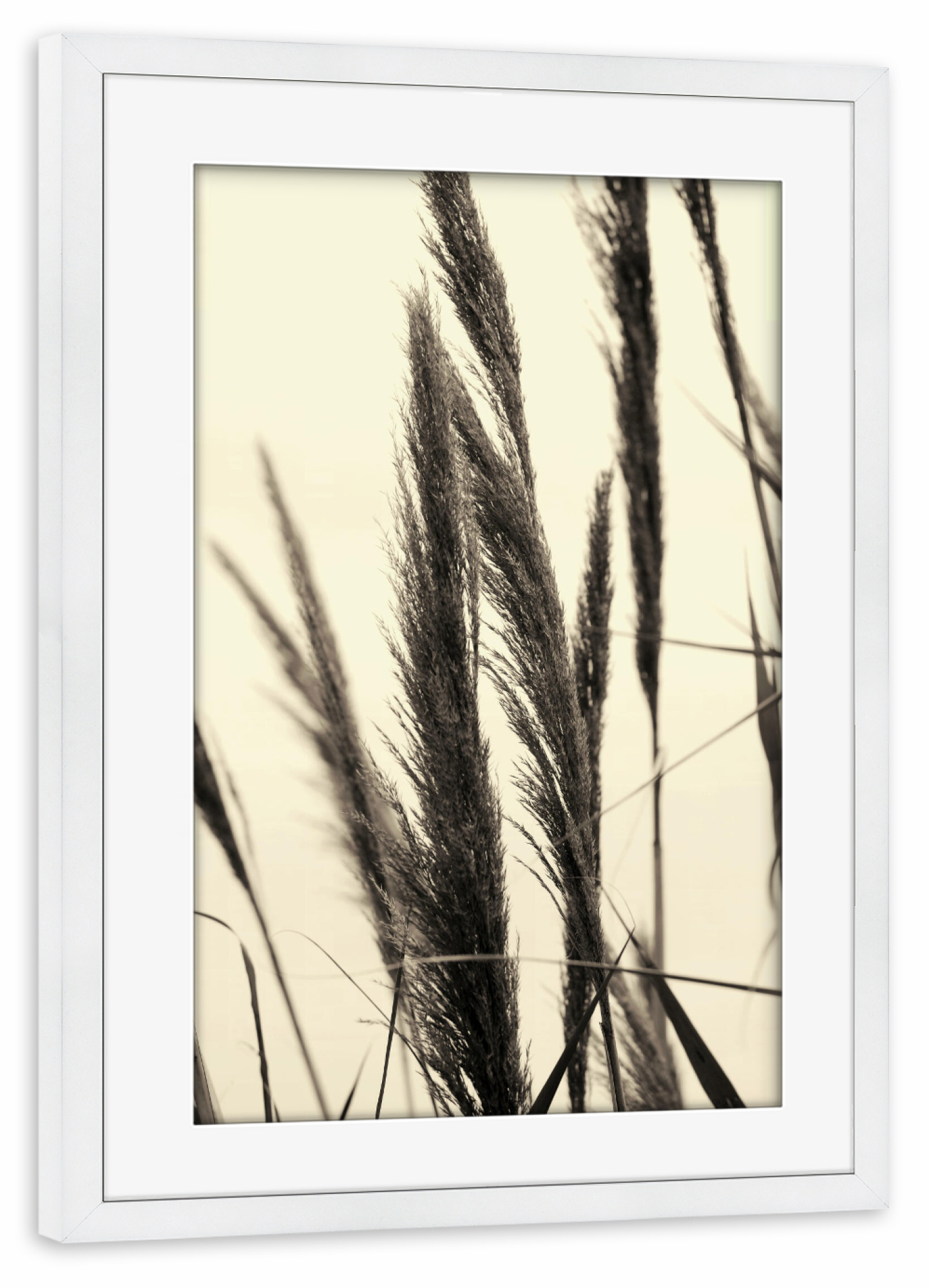 Poster mit Rahmen weiß "Pampasgras helle Pastelltöne" artboxONE - Floral,Abstrakt,Schwarzweiß,Musik,Für Mama