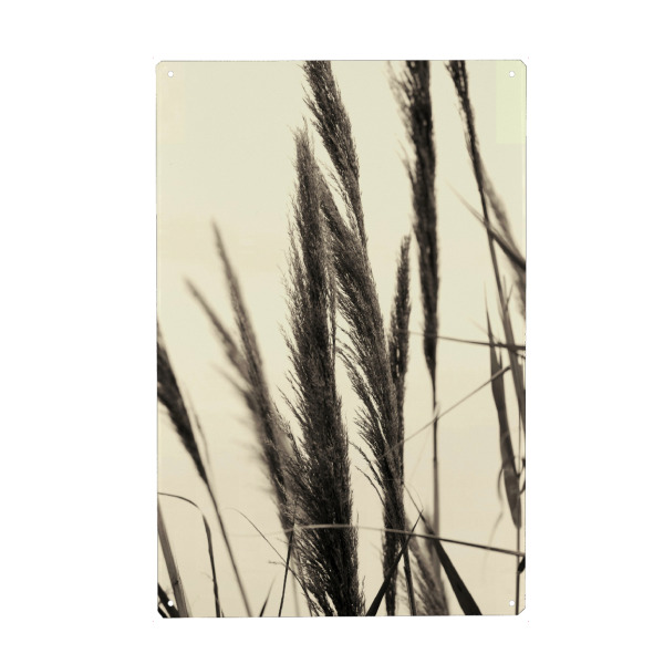Holzbild "Pampasgras helle Pastelltöne" artboxONE - Floral,Abstrakt,Schwarzweiß,Musik,Für Mama