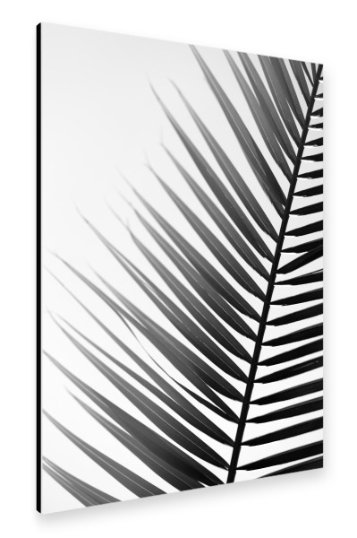 Alu-Dibond "Palmenblatt Silhouette" 30x20 cm artboxONE