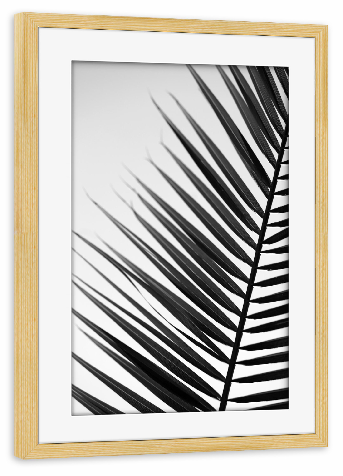 Poster mit Rahmen kiefer "Palmenblatt Silhouette" artboxONE - Natur,Floral,Abstrakt,Schwarzweiß,Reise / Asien