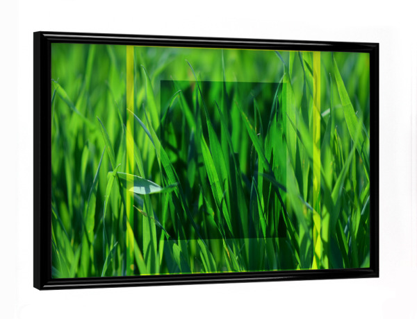 Poster mit schwarzem Rahmen "Abstrakte Gräser" artboxONE - Natur,Abstrakt,Geometrie