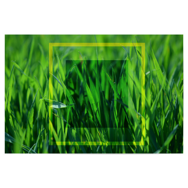 Poster 30x20 cm "Abstrakte Gräser" artboxONE - Natur,Abstrakt,Geometrie