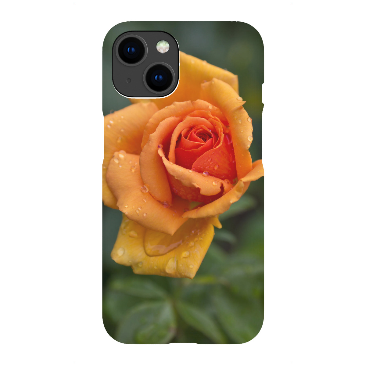 "Rose nach dem Regen"für iPhone - Premium-Case Handyhülle artboxONE