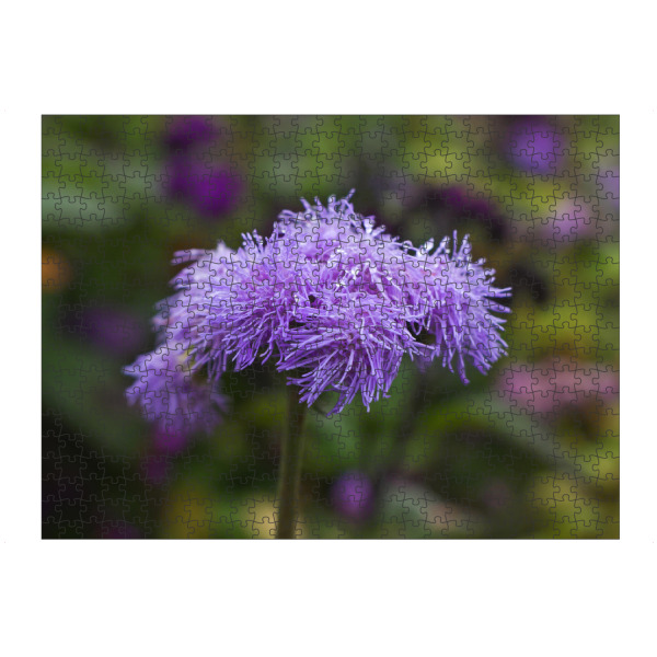 artboxONE Puzzle "Leberbalsam mit Tropfen" artboxONE - Natur,Floral