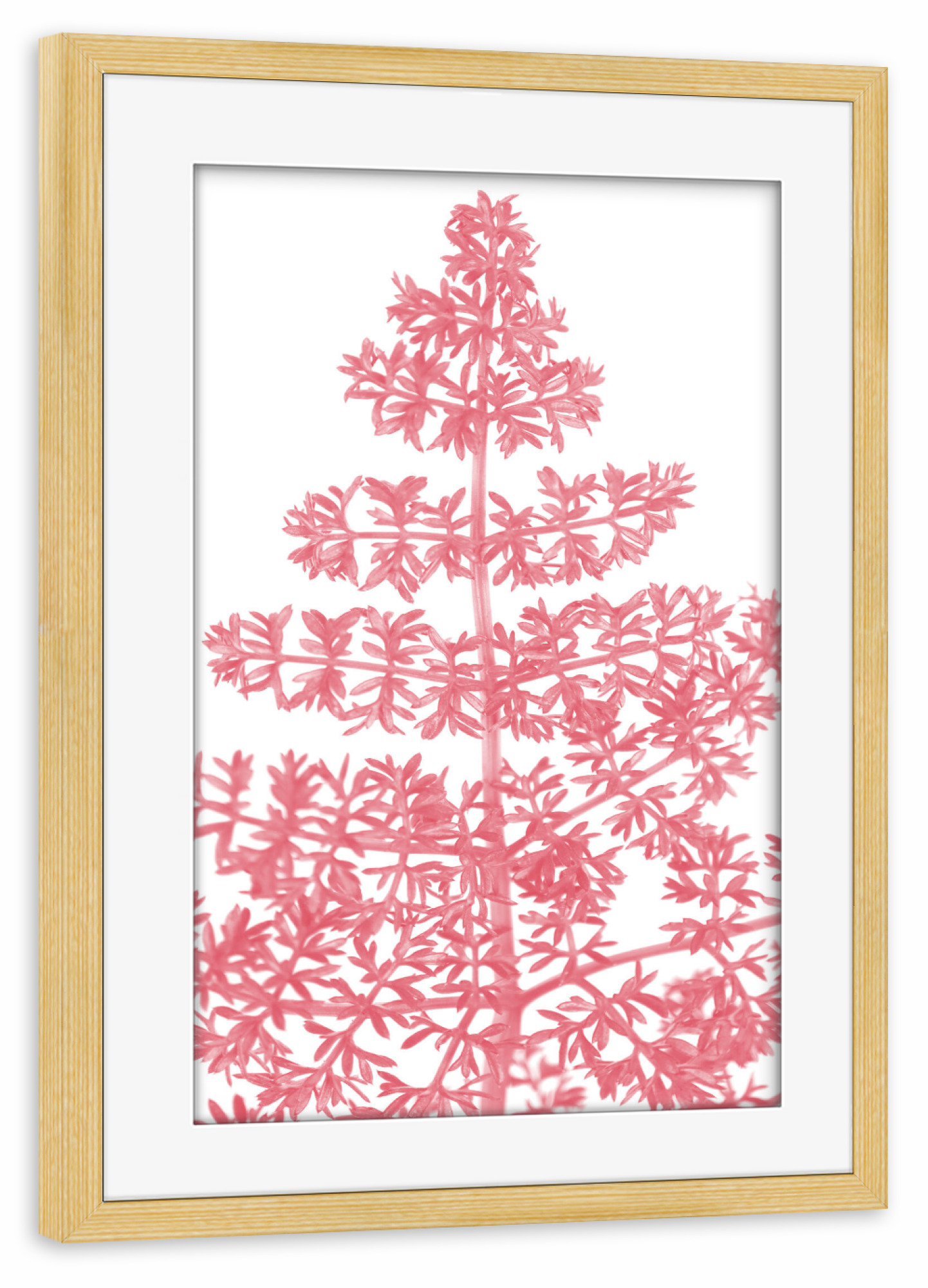 Poster mit Rahmen kiefer "Pink dainty leaf" artboxONE - Natur - Fern,Plant,Leaves,Pink,Blätter,Abstract,Abstrakt,Natur,Nature,Baum,Tree