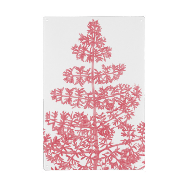 Metall Poster "Pink dainty leaf" artboxONE - Natur - Fern,Plant,Leaves,Pink,Blätter,Abstract,Abstrakt,Natur,Nature,Baum,Tree - Blechschild