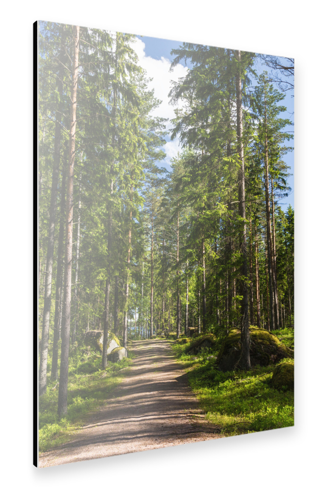 Alu-Dibond "Sonniger Waldweg in Finnland" 75x50 cm artboxONE
