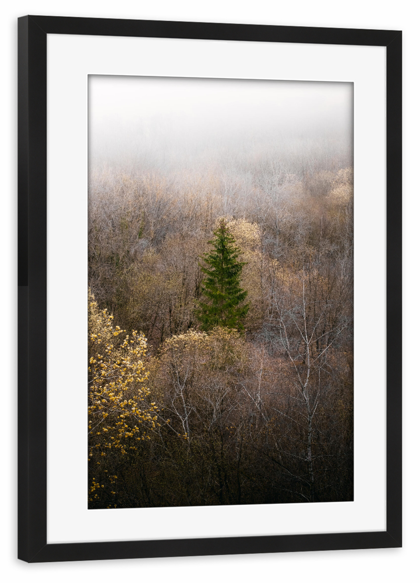 Poster mit Rahmen schwarz "Nebliger Wald" artboxONE - Natur,Reise,Reise / Länder