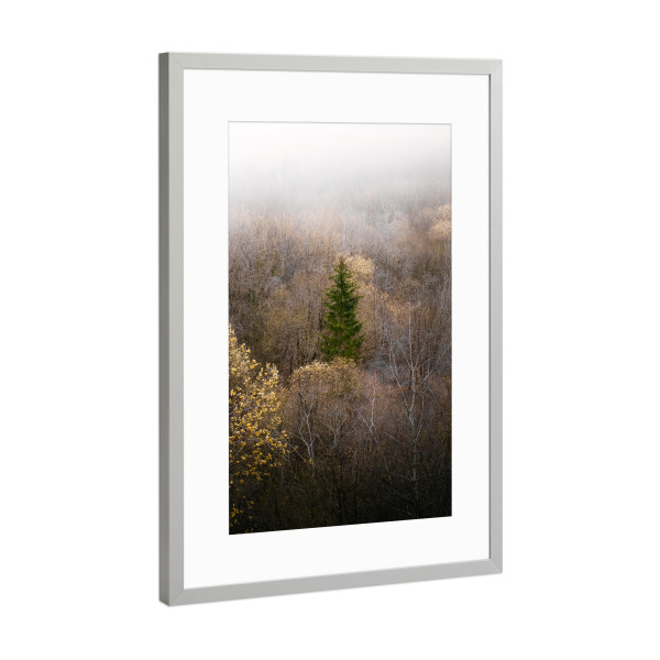 Poster mit Rahmen Silber "Nebliger Wald" artboxONE - Natur,Reise,Reise / Länder
