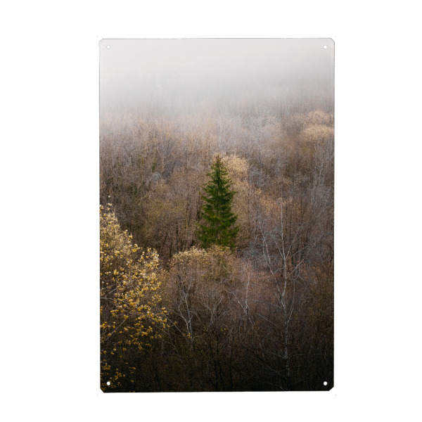 Holzbild "Nebliger Wald" artboxONE - Natur,Reise,Reise / Länder