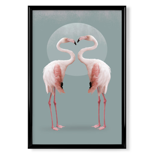 Flamingo Paar