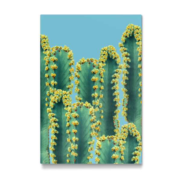 Galerie-Print "Adorned Cactus-II" 30x20 cm artboxONE