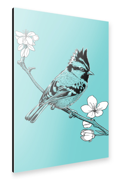Alu-Dibond "Crested Sparrow on a branch" 30x20 cm artboxONE