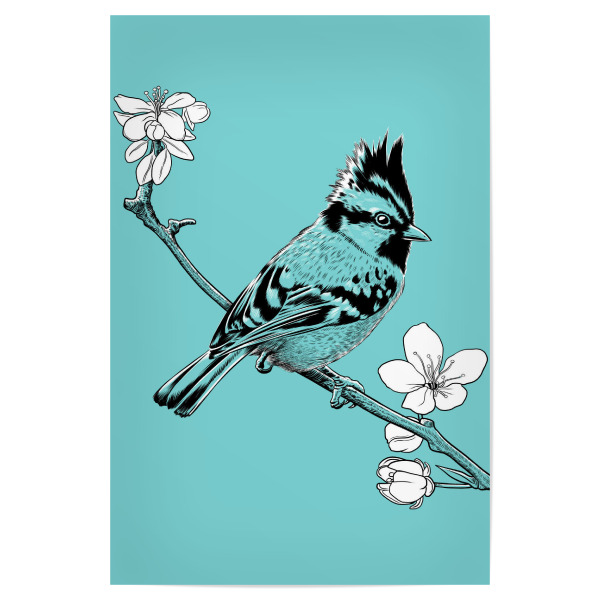 Poster 30x20 cm "Crested Sparrow on a branch" artboxONE - Floral,Tiere