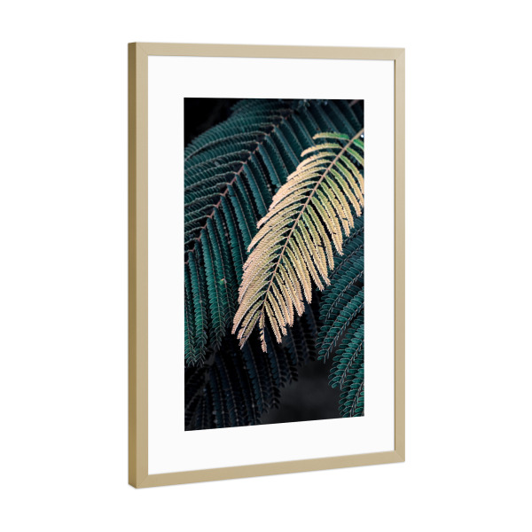 Poster mit Rahmen Gold "Foliage I" artboxONE - Natur - Photography,Nature,Leaves,Foliage,Natur,Blätter,Plant,Pflanze,Floral,Botanical,Botanisch