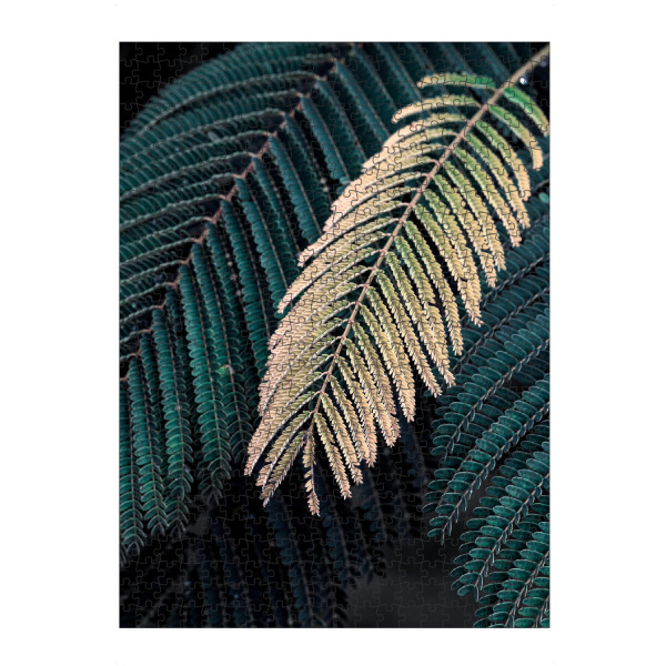 Puzzle Ravensburger "Foliage I" artboxONE - Natur - Photography,Nature,Leaves,Foliage,Natur,Blätter,Plant,Pflanze,Floral,Botanical,Botanisch