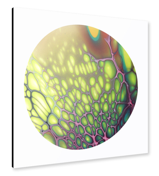 Alu-Dibond "Bloom some Cells" 30x30 cm artboxONE