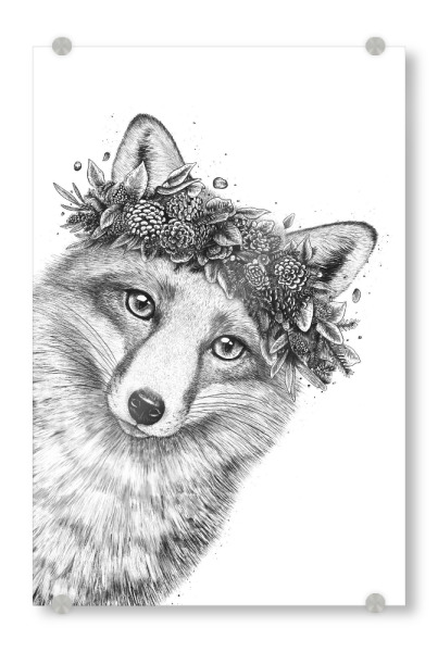 Acrylglasbild "Fox with wreath" artboxONE - Natur,Floral,Tiere,Weihnachten,Lustig