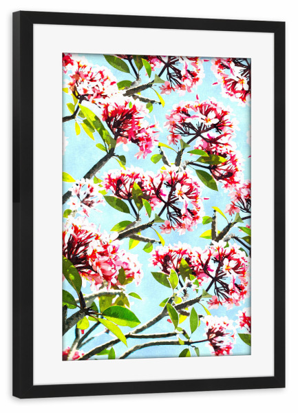 Poster mit Rahmen schwarz "Frangipani Painting" artboxONE - Natur,Floral