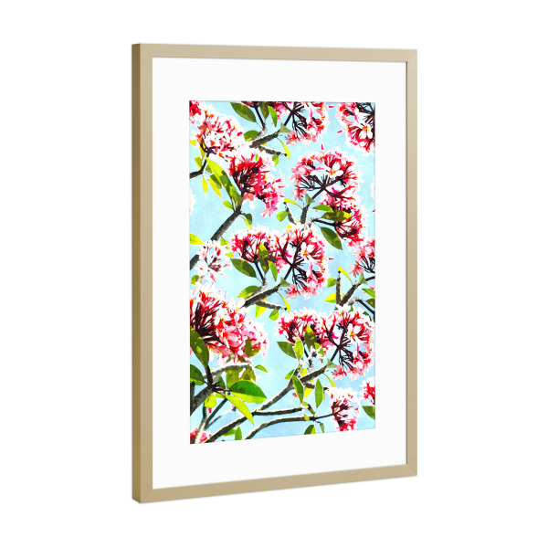 Poster mit Rahmen Gold "Frangipani Painting" artboxONE - Natur,Floral