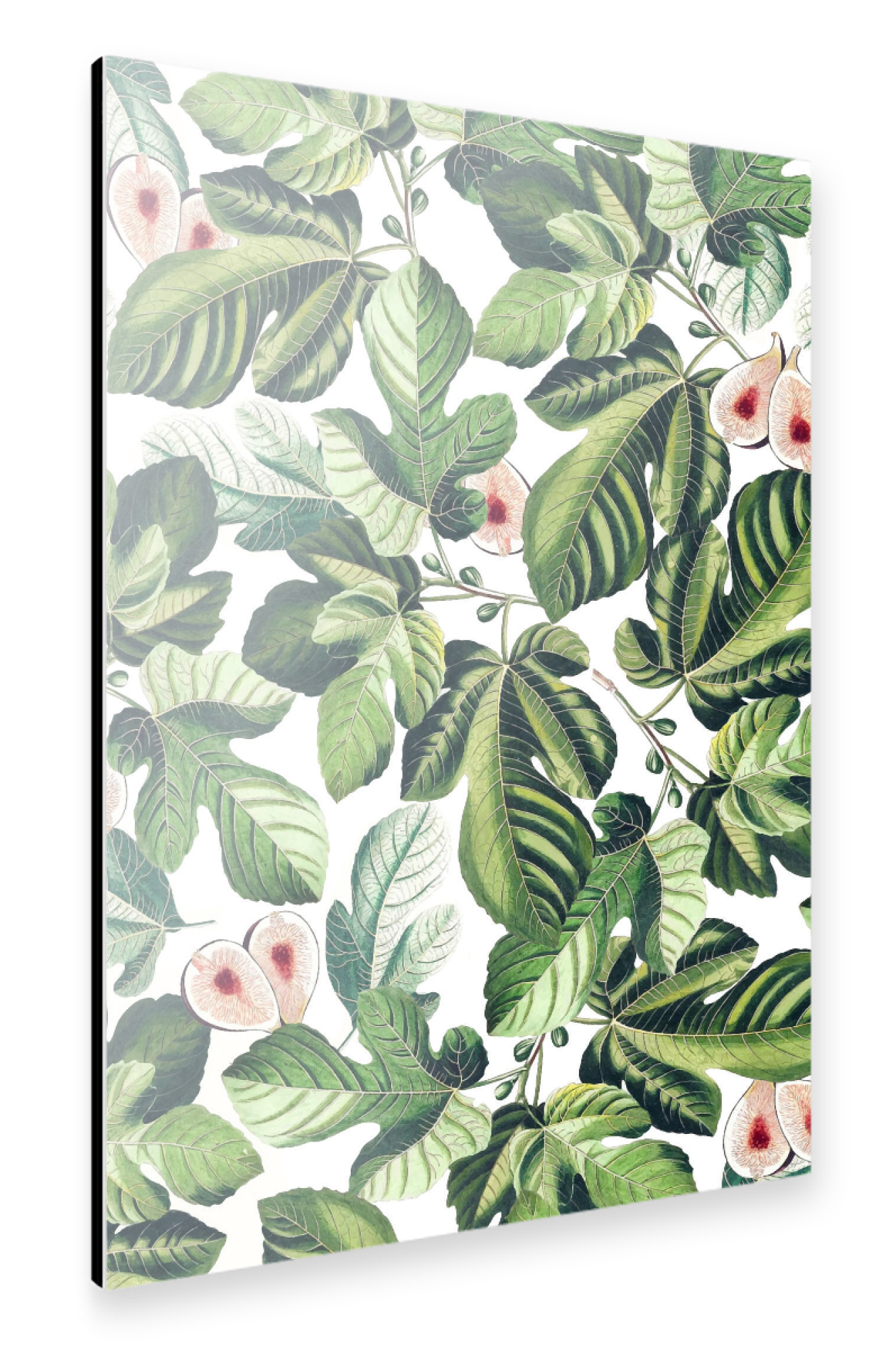 Alu-Dibond "Fig Garden" 30x20 cm artboxONE