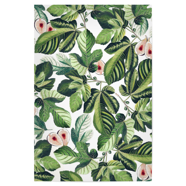 Poster 30x20 cm "Fig Garden" artboxONE - Natur,Floral