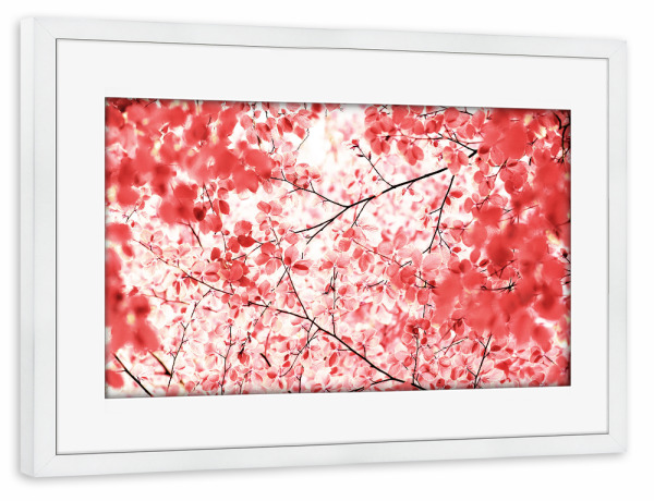 Poster mit Rahmen weiß "Rosaroter Blätterhimmel im Sommer" artboxONE - Natur,Floral,Abstrakt,Liebe