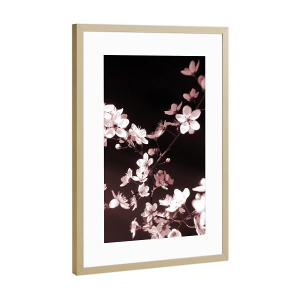 Poster mit Rahmen Gold "Frühlingsblüte Schwarz Rosa" artboxONE - Natur,Floral,Schwarzweiß,Liebe