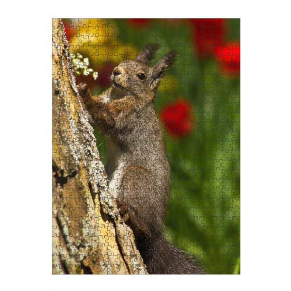 artboxONE Puzzle "Kletterndes Eichhörnchen" artboxONE - Natur,Tiere