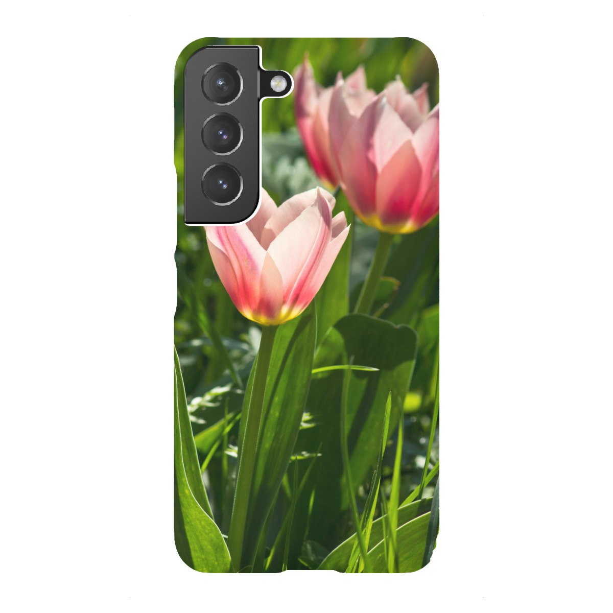 Samsung Galaxy "Rosa Tulpen im Sonnenlicht" Premium-Case Handyhülle artboxONE