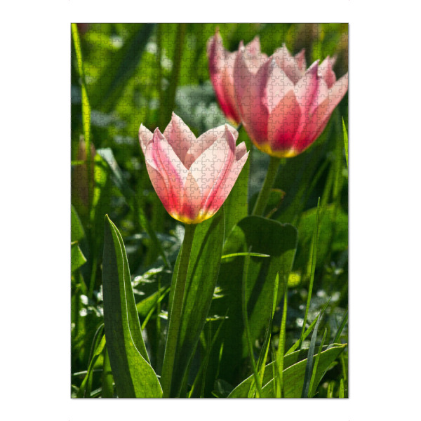 Puzzle Ravensburger "Rosa Tulpen im Sonnenlicht" artboxONE - Natur,Floral
