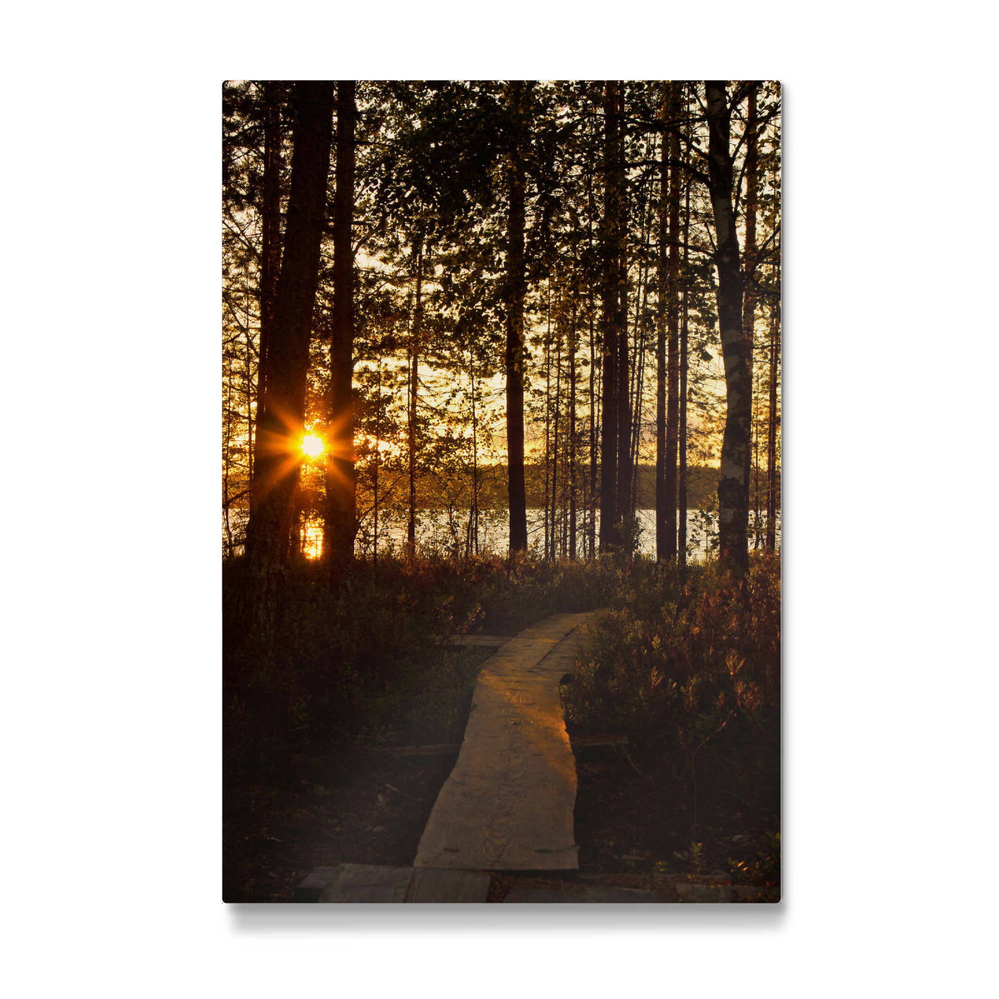Galerie-Print "Steg zum See" 30x20 cm artboxONE
