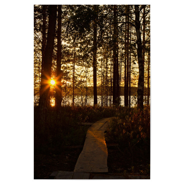 Poster "Steg zum See" artboxONE - Natur,Reise,Reise / Länder