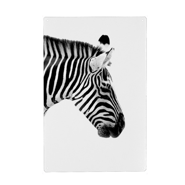 Holzbild "Seitliches Zebra Portrait" artboxONE - Natur,Tiere,Schwarzweiß