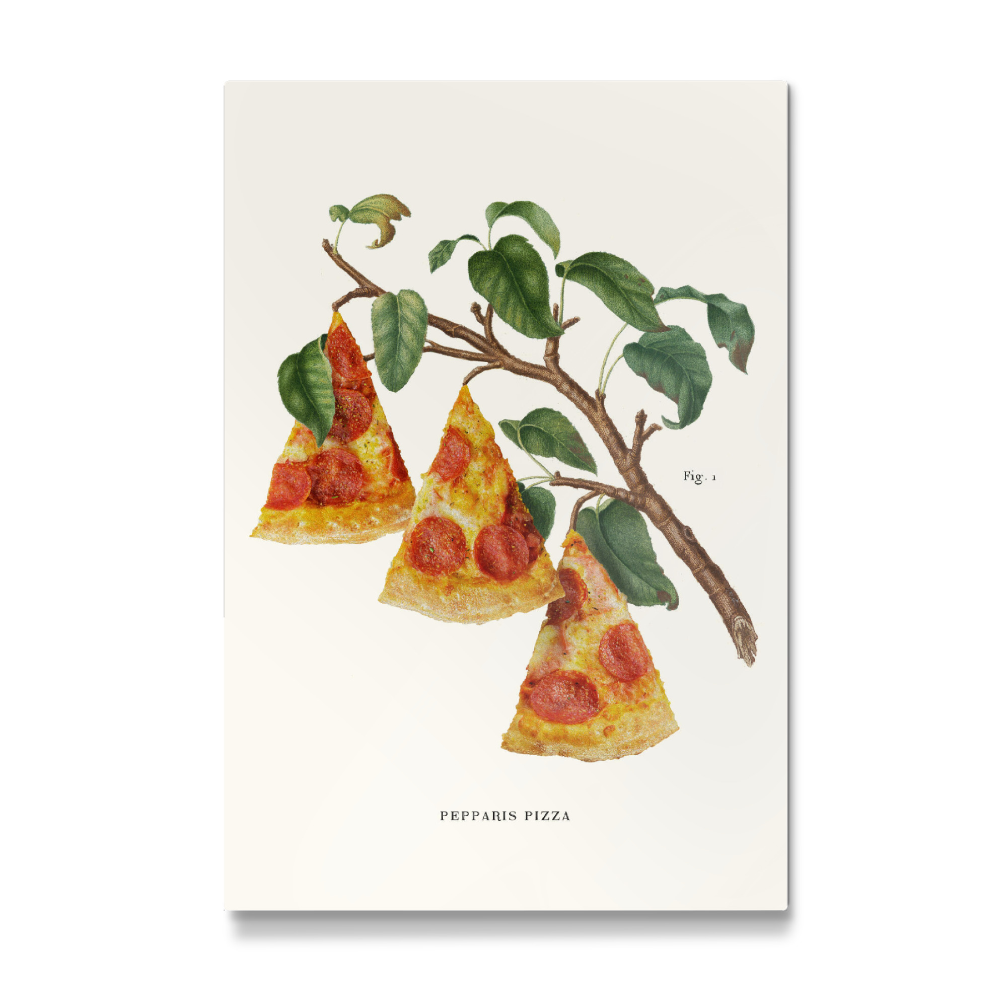 Galerie-Print "Pizza Plant" 30x20 cm artboxONE