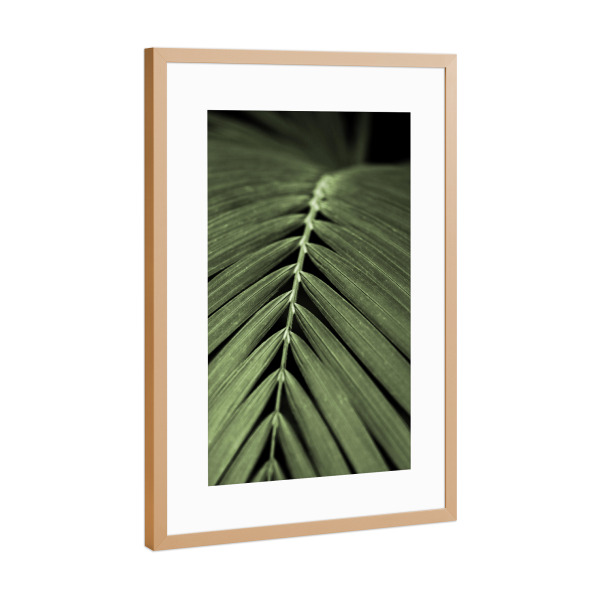 Poster mit Rahmen Kupfer "Palmenblatt Detail Oceangrün" artboxONE - Natur,Floral,Reise / Asien
