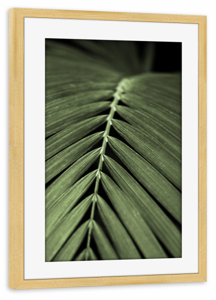 Poster mit Rahmen kiefer "Palmenblatt Detail Oceangrün" artboxONE - Natur,Floral,Reise / Asien